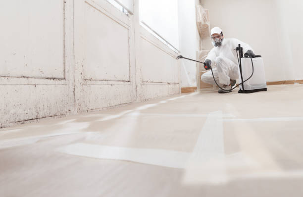 24/7 Emergency Commercial Mold Remediation experts in Reading, PA