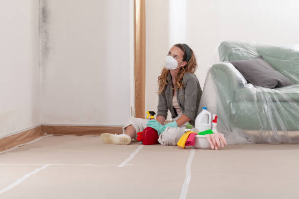 Reliable Commercial Mold Remediation contractor in Reading, PA by Mold Remediation HQ