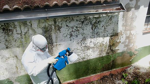 Top rated local Commercial Mold Remediation specialists in Reading, PA